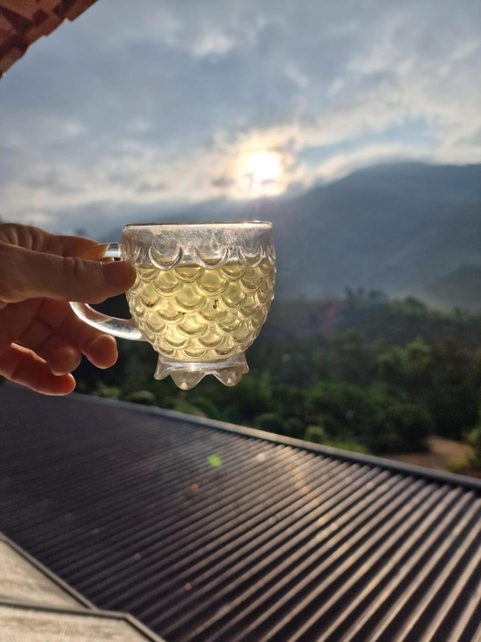Bed and Breakfast Farm Co Chu Tuan Ha Đà Lạt Exterior foto