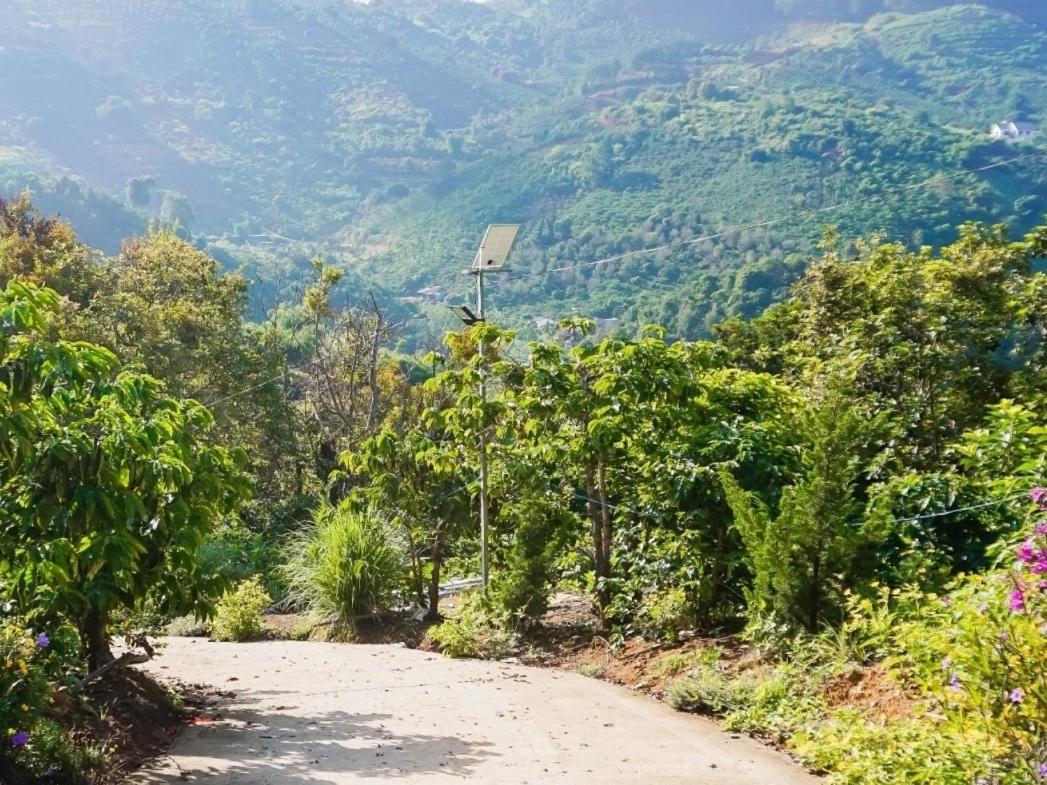 Bed and Breakfast Farm Co Chu Tuan Ha Đà Lạt Exterior foto