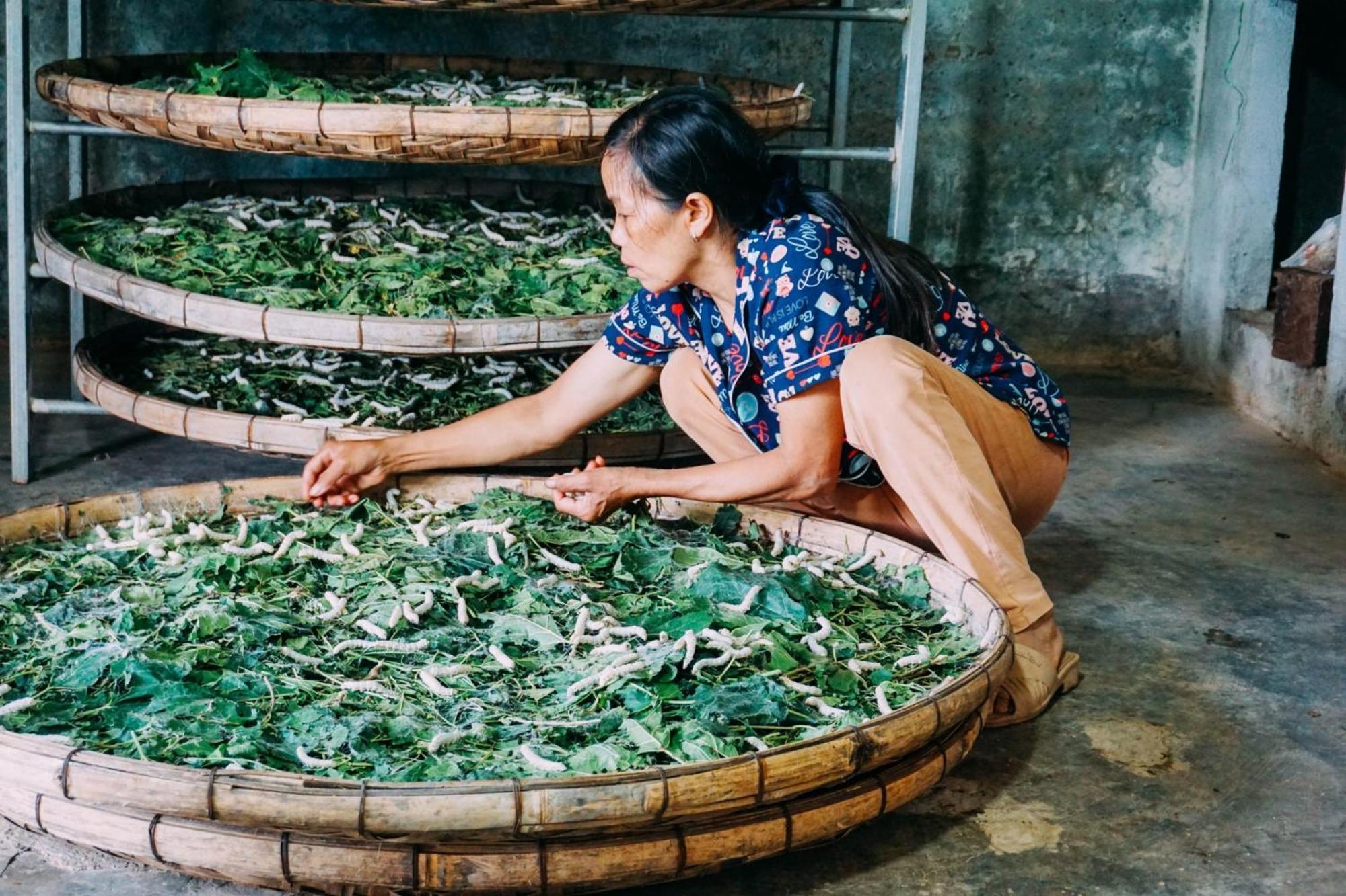 Bed and Breakfast Farm Co Chu Tuan Ha Đà Lạt Exterior foto