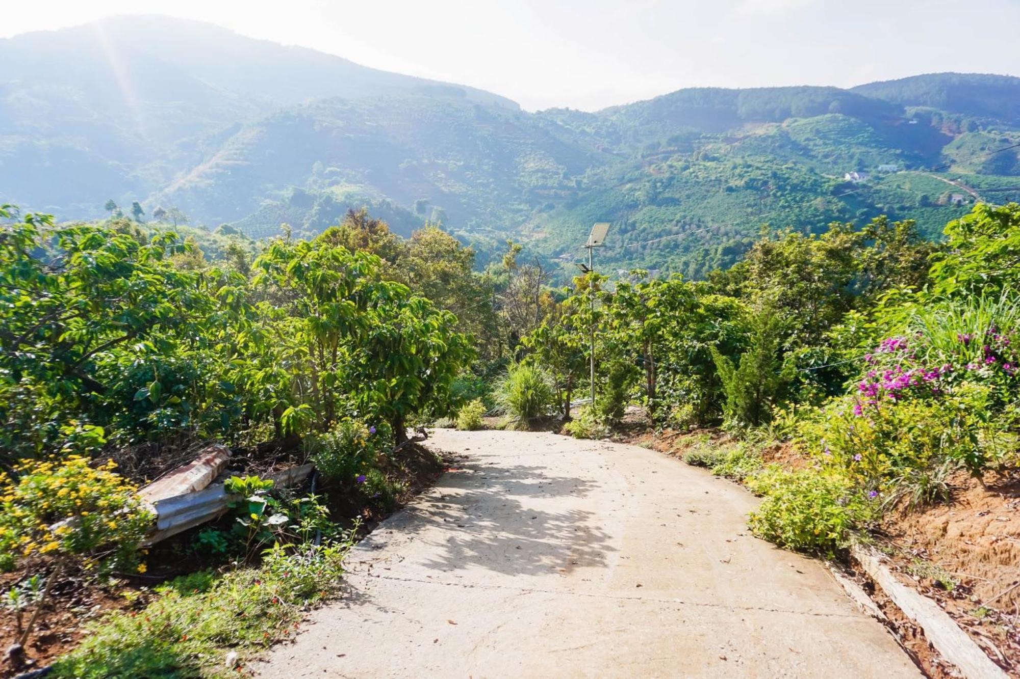 Bed and Breakfast Farm Co Chu Tuan Ha Đà Lạt Exterior foto